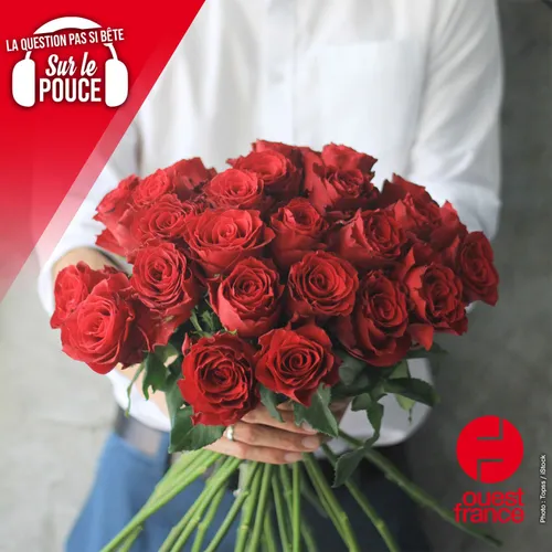 Pourquoi il ne faut pas offrir des roses à la Saint Valentin ?