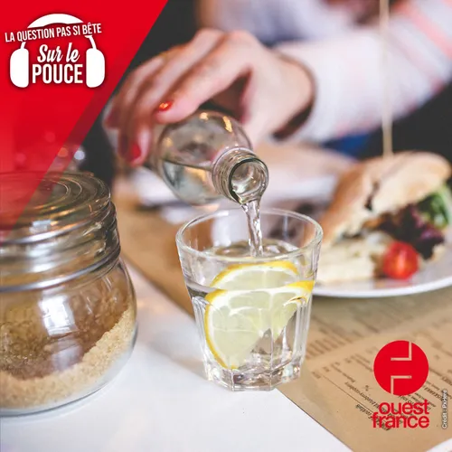 Est-ce vraiment bon de boire de l'eau pendant le repas ?