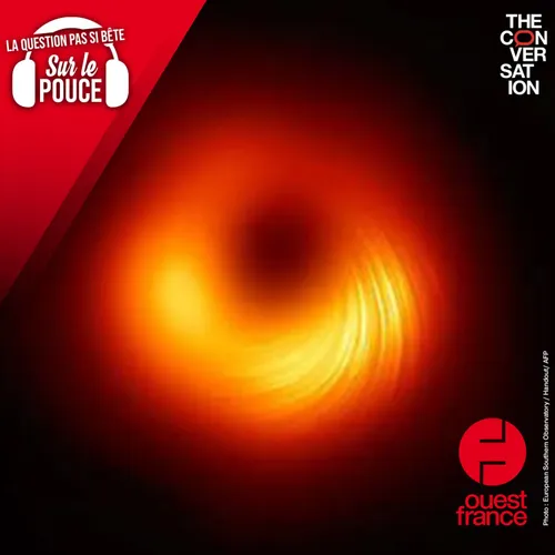 Qu'est-ce qu'il se passerait si un humain entrait dans un trou noir ?