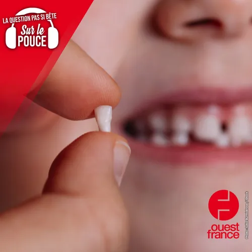 Pourquoi avons-nous des dents de lait ?