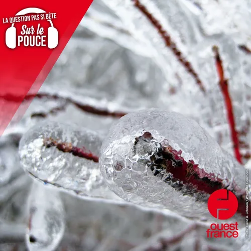 Pourquoi peut-il pleuvoir même quand il fait moins de zéro degré ?