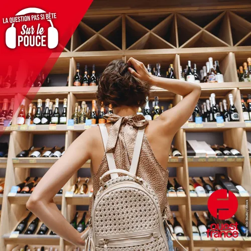 Les bons vins sont-ils les plus chers ?