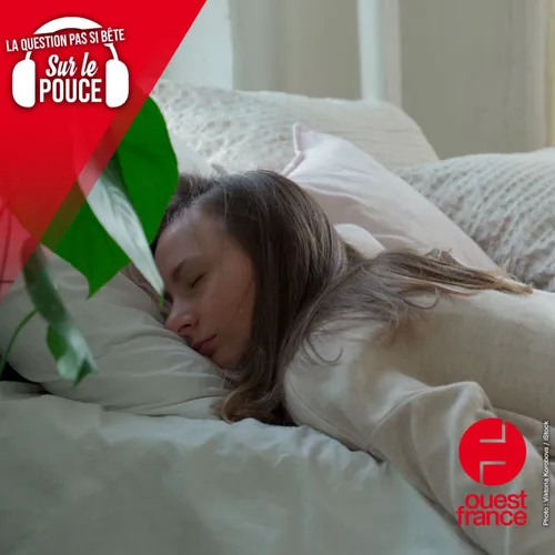 Pourquoi ne tombe-t-on pas du lit quand on dort ?