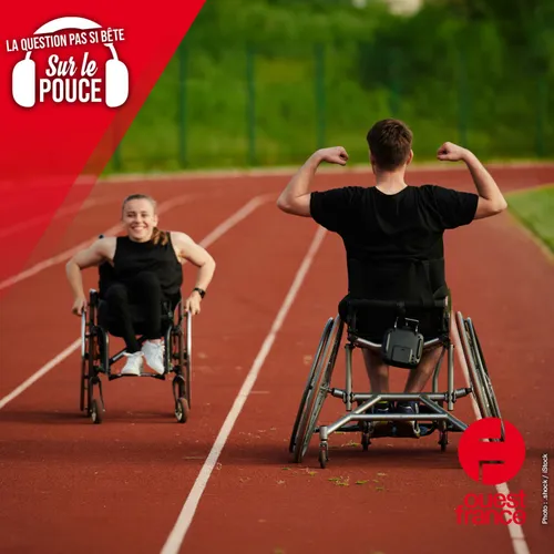 Pourquoi faut-il attendre plus de deux semaines pour l’édition des...