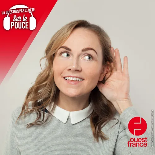 Est-ce qu'on a tous une petite voix dans la tête ?