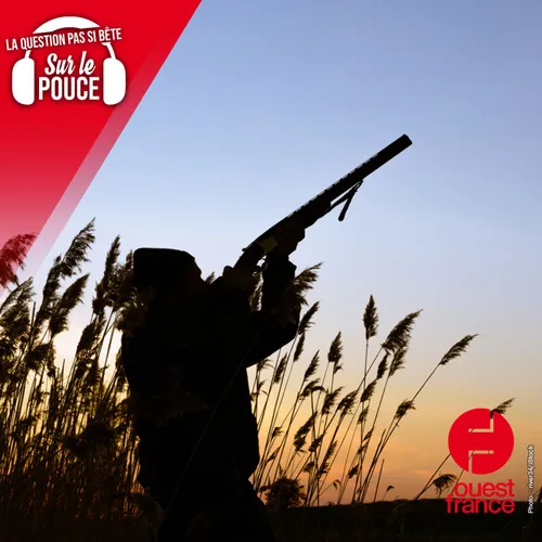 Tirer en l'air est-il dangereux ?