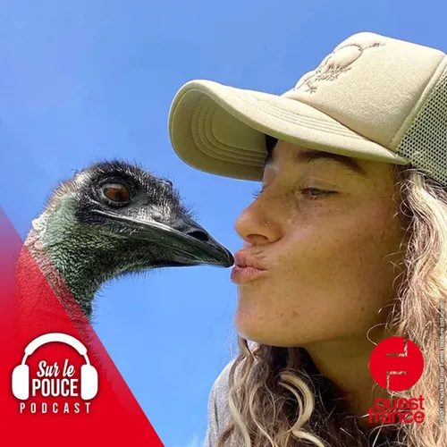 21 juillet 2022 - Emmanuel, l'oiseau grincheux devenu star sur TikTok