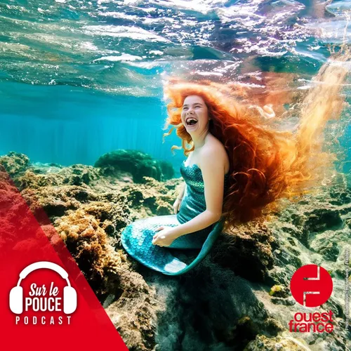 13 juillet 2023 - En France, une école d'apnée permet de devenir...