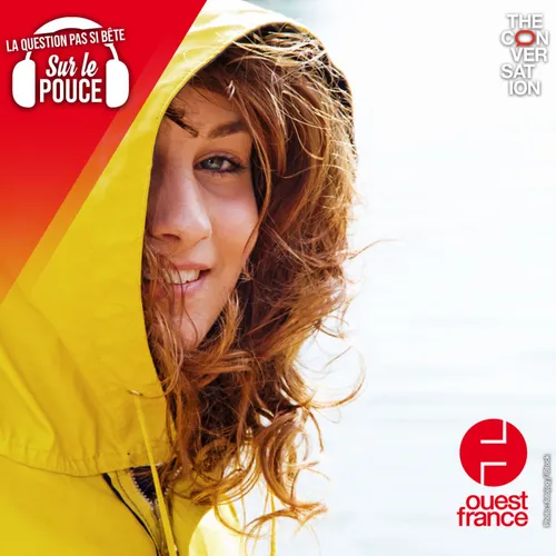 Pourquoi nos cheveux frisent quand il fait humide ?