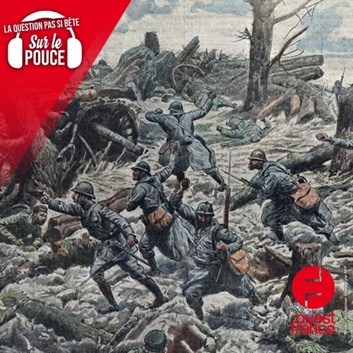 Pourquoi les soldats de la Première Guerre mondiale sont-ils...