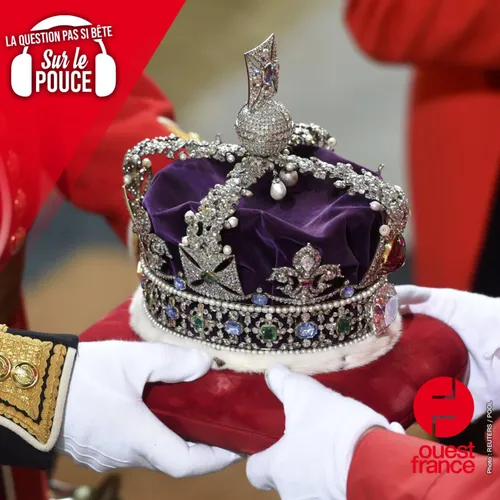 Qui seraient les prétendants au trône de France si la monarchie...