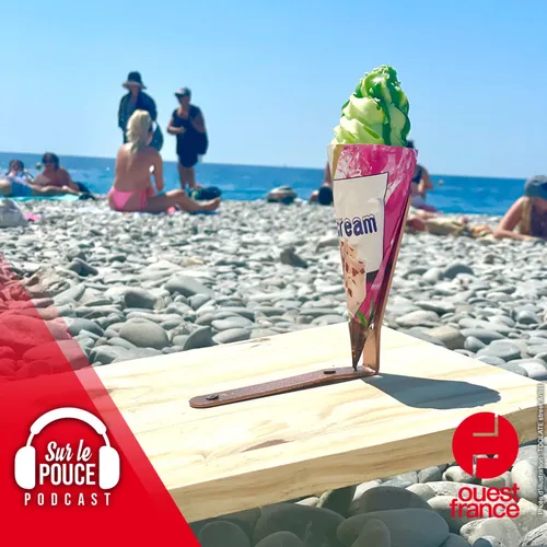 12 juillet 2023 -  Cet artiste installe une tapette géante pour...