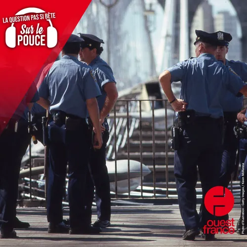 D'où vient l'expression « 22, v'là les flics ! » ?