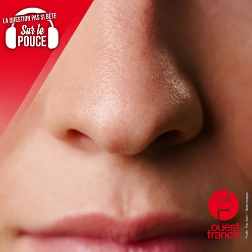 Pourquoi avons-nous deux narines et pas une seule ?