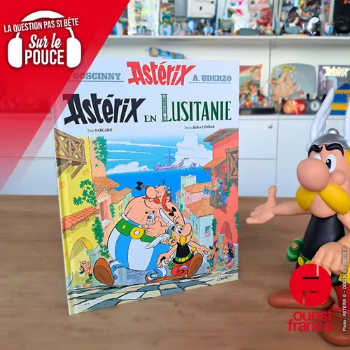 Quel âge ont Astérix et Obélix ?