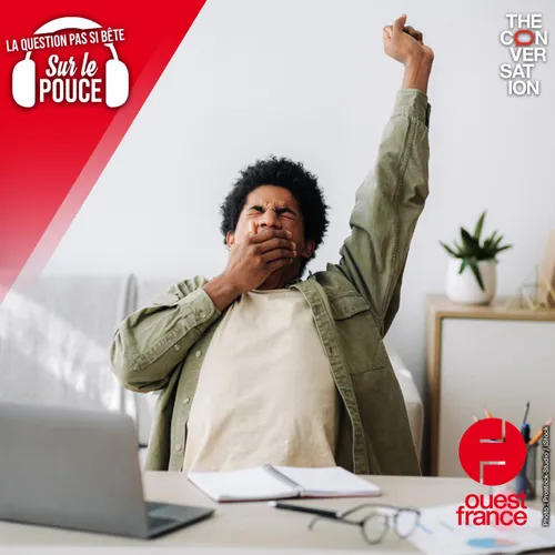 Pourquoi baille-t-on quand on voit quelqu'un d'autre le faire ?