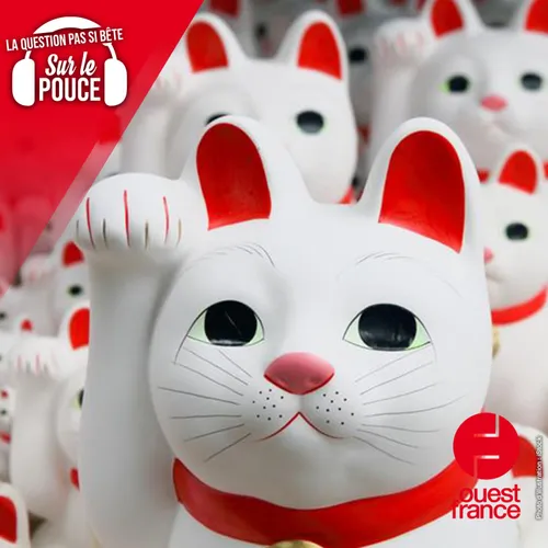 D’où vient le Maneki Neko, ce célèbre “chat chinois qui salue” ?