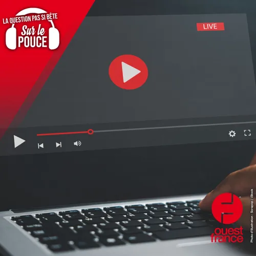 Quelle est la première vidéo a avoir été postée sur YouTube ?