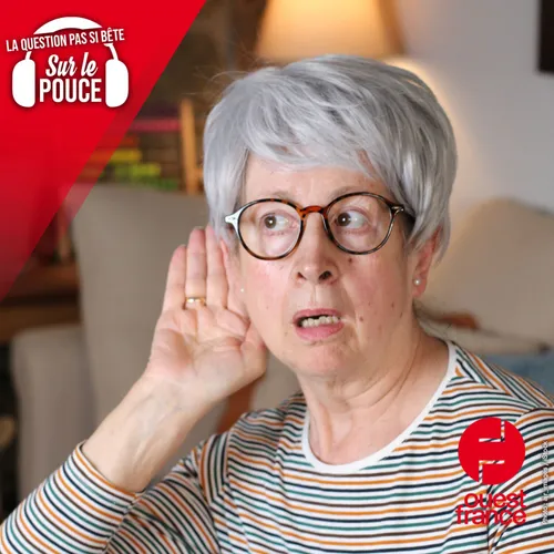 Que signifient ces bruits bizarres que l’on entend dans une maison ?