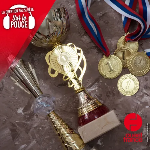 Mais au fait, que recevaient les vainqueurs des JO sous l'Antiquité ?