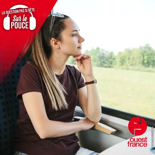 Quelle est la signification des bips que l'on entend à bord d’un TGV ?