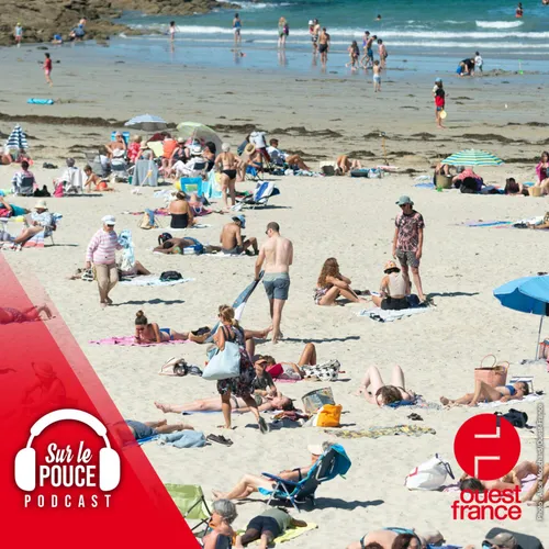 24 août 2023 - Ce délinquant explique à la télé comment voler des...