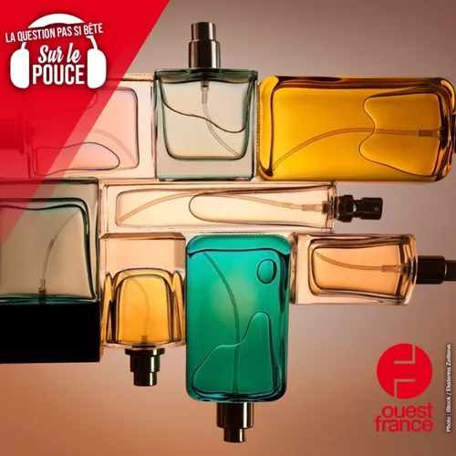 Comment bien conserver un parfum ?