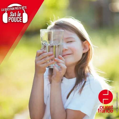 Pourquoi les verres sont-ils en verre ?