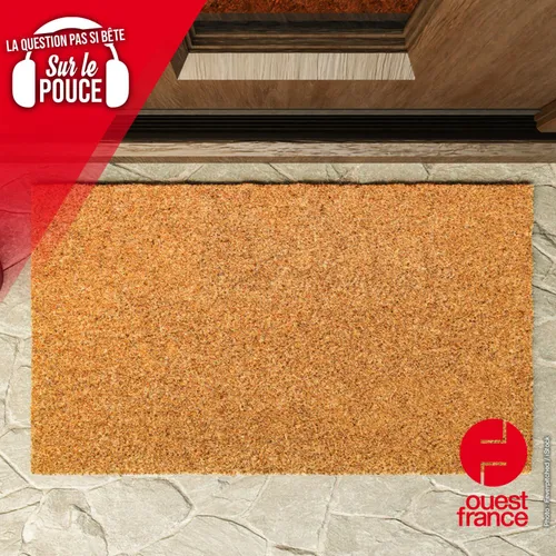 C’est quoi le syndrome du paillasson ?