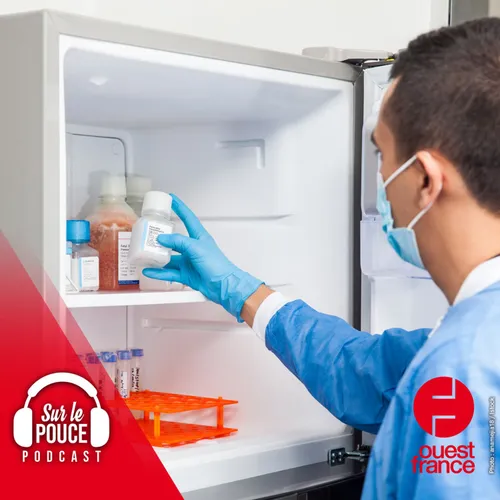 28 juin 2023 - Il coupe le congélateur et ruine 20 ans de recherche