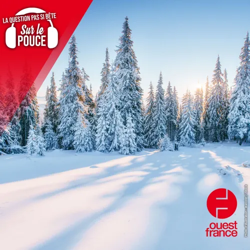 La neige est-elle vraiment blanche ?