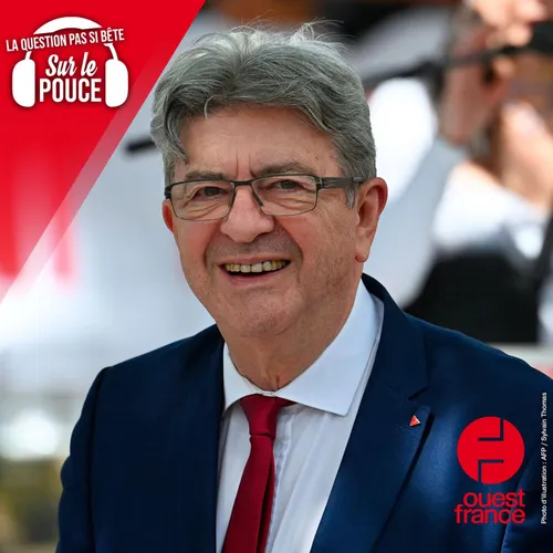 Pourquoi Jean-Luc Mélenchon porte-t-il un triangle rouge sur sa...