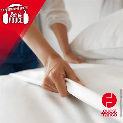 Pourquoi les draps des hôtels sont-ils tous blancs ?