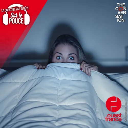 Que se passe-t-il dans notre tête quand on a peur ?