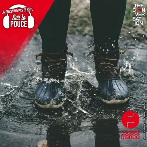 Pour moins se mouiller sous la pluie, vaut-il mieux courir ou...