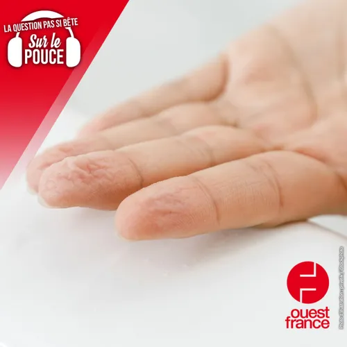 Pourquoi nos doigts deviennent fripés au contact de l'eau ?