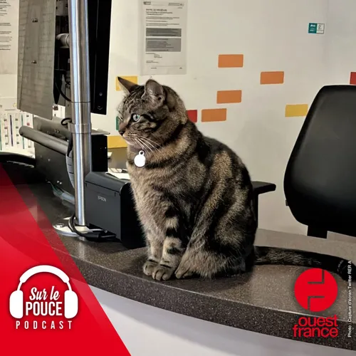 24 février 2023 - Taga, le chat mascotte du RER A