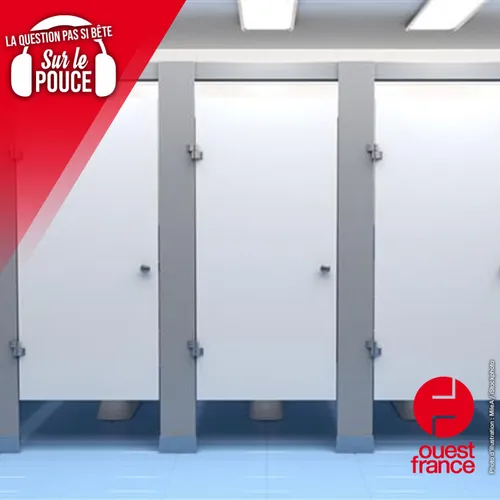 Pourquoi les portes des toilettes publiques ne vont-elles pas...