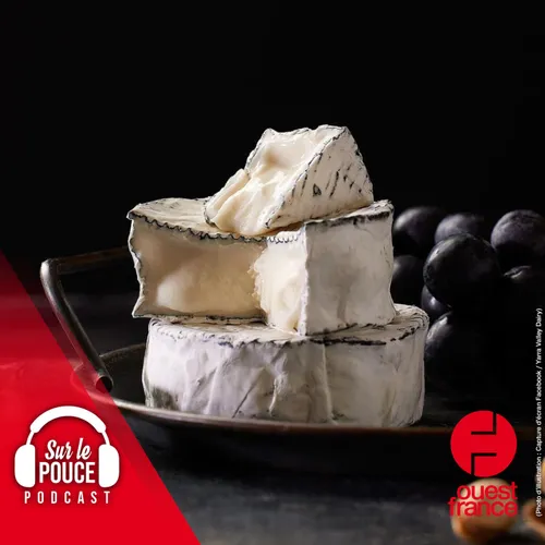 25 mai 2022 - Une amende de 6 000 € pour une odeur de fromage trop...