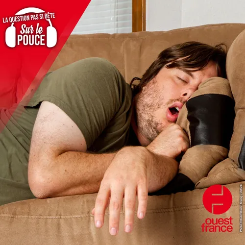 Pourquoi a-t-on la bouche pâteuse après une sieste ?