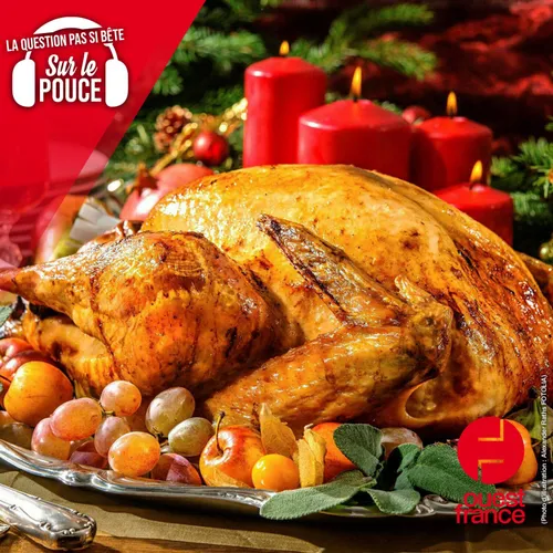 Pourquoi mange-t-on de la dinde à Noël ?