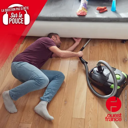 D'où vient la poussière ?