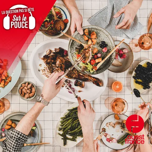 Du cochon au porc,  pourquoi les animaux changent-ils de noms...