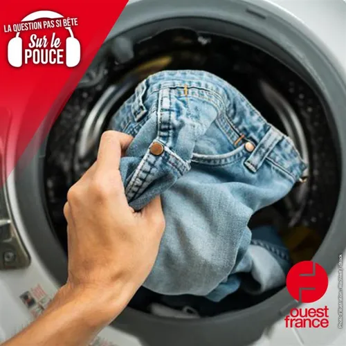 Pourquoi les vêtements rétrécissent-ils au lavage ?