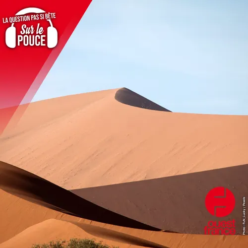 Pourquoi y a-t-il du sable dans le désert ?