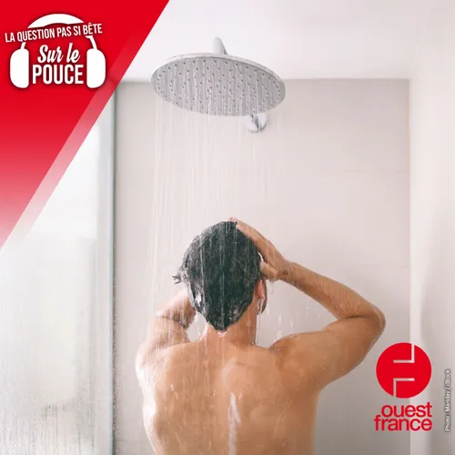 Faut-il se doucher tous les jours ?