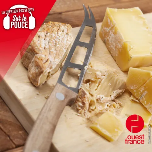 Mais au fait, pourquoi il y a des trous dans les couteaux à fromage ?