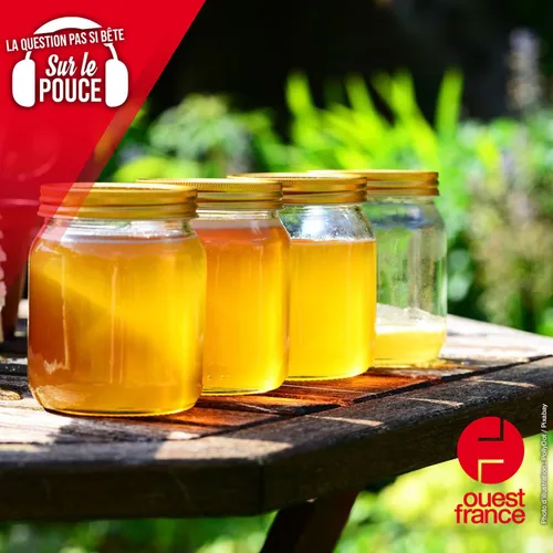 Pourquoi le miel ne périme pas ?