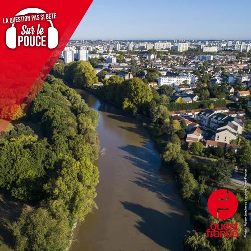 Pourquoi dit-on « province » quand on parle d'une ville en dehors...