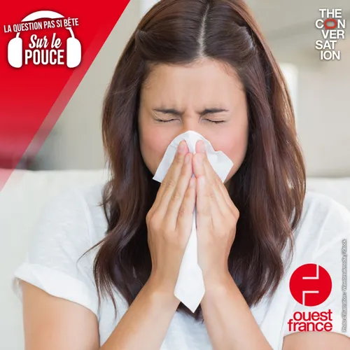 Pourquoi notre nez coule-t-il lorsque l’on est malade ?